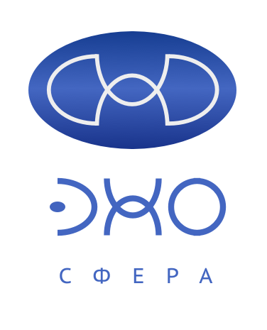Разработка айдентики Эхо Сфера